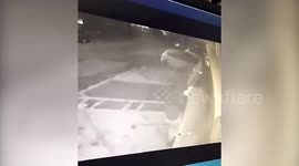 Shocking moment van driver ploughs into house before smashing windows with hammer