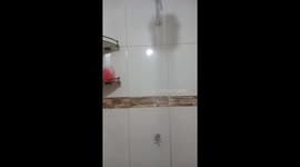 Cat caught spying through bathroom window in Santa Cruz de la Sierra, Bolivia