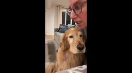 Dog barks at mother and gets disciplined in Cleveland, Ohio