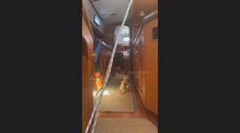 Dog insists on playing fetch - even on tilted boat where it can't walk straight