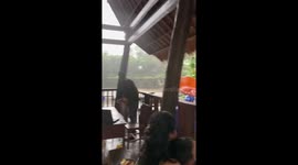 Elephant rushes for shelter as rain approaches in Bali, Indonesia