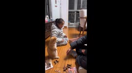 Cat sits upright and plays with children in Jiangsu, China