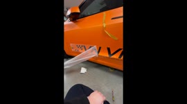 Dog assists in removing sticker wraps from car in Stockholm, Sweden