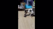 temp