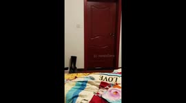 Cosplay ends badly as person falls after being pushed in Chongqing