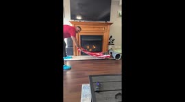 Person pulls cloth from under cat after bath in Chicago