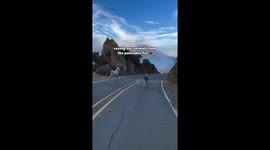 Horses running to safety as fires devastate Malibu