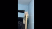 temp