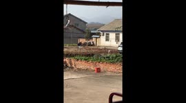 Dog runs to car to escape fireworks in Hubei, China