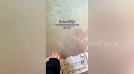 Woman uncovers old newspapers amid home renovation including one from 1937