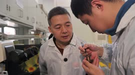 China: Experiment at China’s new 