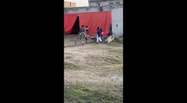 Children and saddle fall off donkey in Kharian, Pakistan