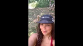 Bird knocks person's cap off in Guarapari, Brazil