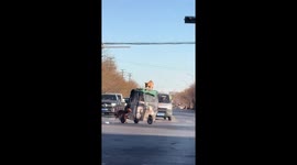 Two dogs with different priorities cross the road in Shandong, China