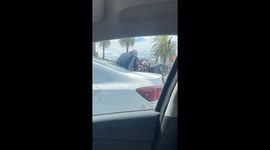 Motorcycle Puppies Raise Money For Children's Hospital