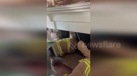 US: Firefighters Free Owl Trapped in Fireplace