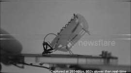 US: Springtail-Inspired Robot Leaps into the Future with Record-Breaking Jumps