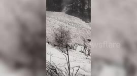 Heavy snowfall triggers avalanche, disrupting transport networks