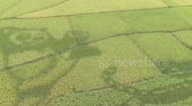 Kung Fu Panda characters cut out in cereal fields