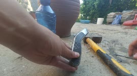 How to water plants with zero effort