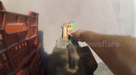 cook egg under the sun