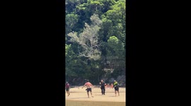 Cat and mouse police chase with taser Ing at Tallebudgera Beach Gold Coast Australia