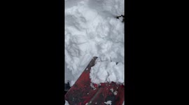 Snowbound rescue: Woman saves bird trapped on Mount Hood