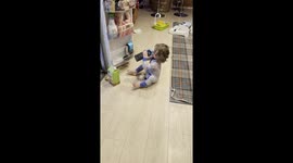 toddler caught chugging juice