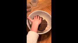 Seeded sourdough. Used a basic sourdough recipe and added all of my seeds.