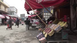 Afghanistan exports fresh fruits worth 143 mln USD in 11 months