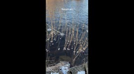 Ice Rings Dance In Shifting Water