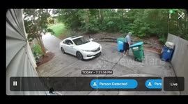 Pizza delivery man goes extra mile by taking in customer's bins