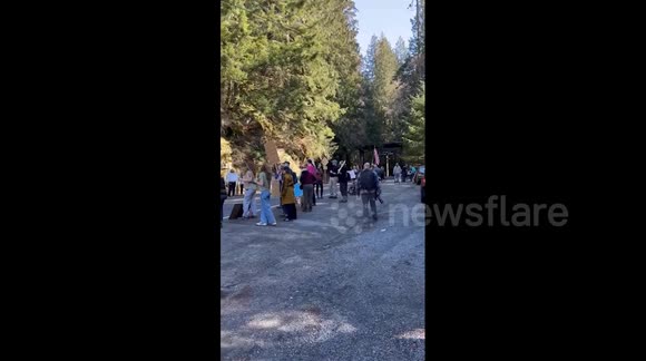 US: Protests Erupt At National Parks Over Trump Administration’s Ranger ...