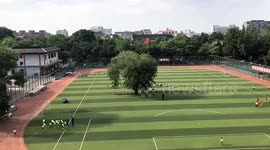 Ancient 100-year-old tree stands tall in middle of school's football pitch - and authorities refuse to move it