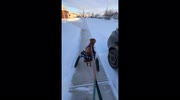 temp
