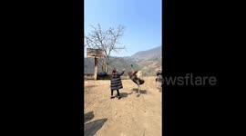 Foolish woman taunts ostrich seeing angry bird rip her coat with powerful kick