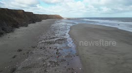Fossil hunter who quit full-time job to pursue his hobby earns £40k a year