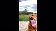 temp