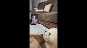 temp