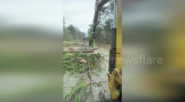 US: Ice Storm Chaos Leaves Blue Ridge Parkway in Ruins as Staff Battle Fallen Trees