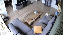 Cat Climbs Wall To Examine Security Camera