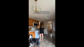 TikToker nearly burns parents’ house down—Dog tries to help!