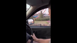 Family shocked as gecko emerges on car window while driving