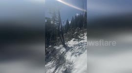 US: Truck Plunges Into River in Dramatic SR-89 Crash