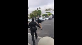 Whole Foods Shoplifter Sucker Punches Security Pulls Knife