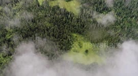 China: NPC deputy safeguards Qinghai-Xizang Plateau's ecological legacy