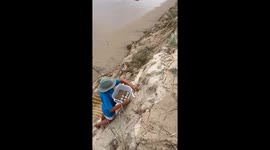 Saving turtle eggs after Cyclone Alfred's destruction