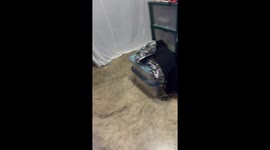 Father wears cat bed around head to warm up at night