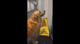 First day on Delivery, Kinda Nervous