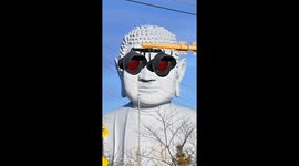 Buddha in Flashing Glasses